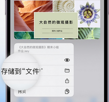 海门apple维修中心分享iPhone文件应用中存储和找到下载文件