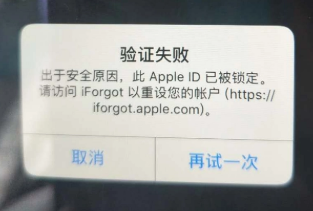 海门iPhone维修分享iPhone上正常登录或使用AppleID怎么办 