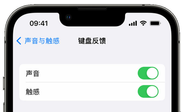 海门苹果手机维修分享iPhone 14触感键盘使用方法 