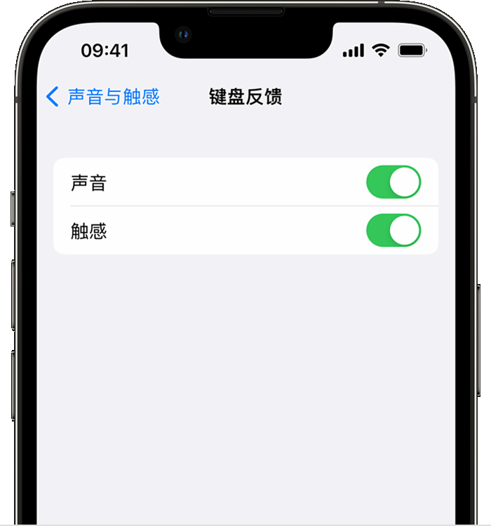 海门苹果14维修店分享如何在 iPhone 14 机型中使用触感键盘 