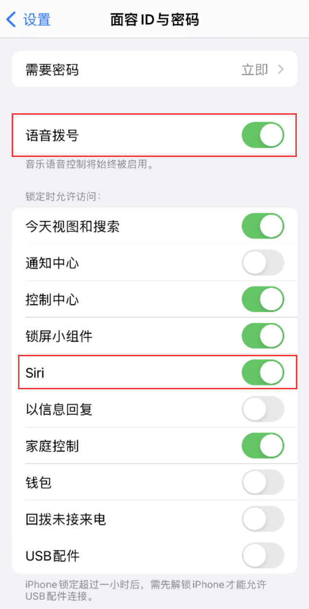 海门苹果维修网点分享不解锁 iPhone 的情况下通过 Siri 拨打电话的方法 