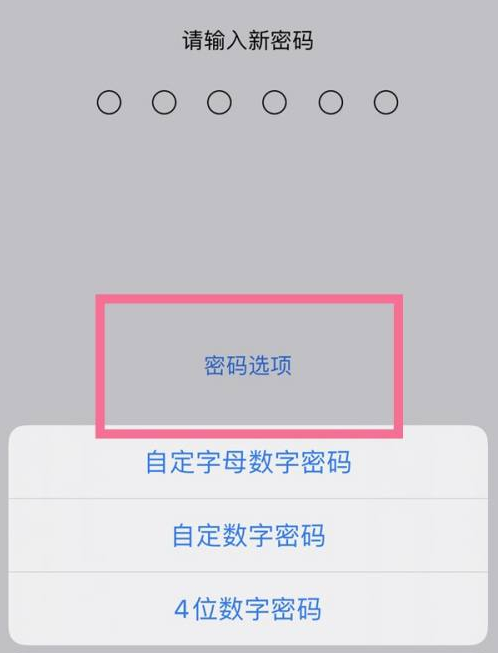 海门苹果14维修分享iPhone 14plus设置密码的方法 