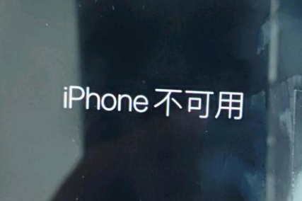 海门苹果服务网点分享锁屏界面显示“iPhone 不可用”如何解决 