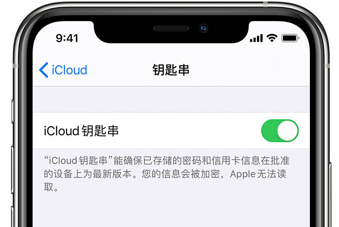 海门苹果手机维修分享在 iPhone 上开启 iCloud 钥匙串之后会储存哪些信息 